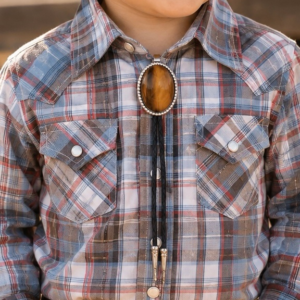 Tiger Eye Clip-On Bolo Tie